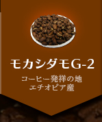 業務用コーヒー豆　モカシダモG-2